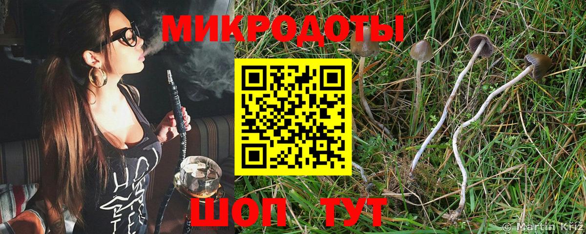 Псилоцибиновые грибы мицелий Звенигород